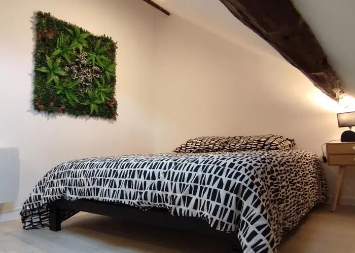 202 Duplex A Colombage En Plein Centre Ville
