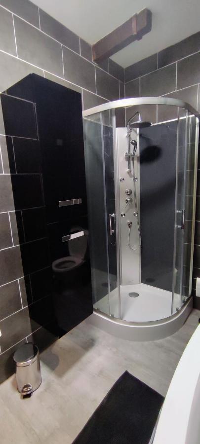 202 Duplex A Colombage En Plein Centre Apartment *